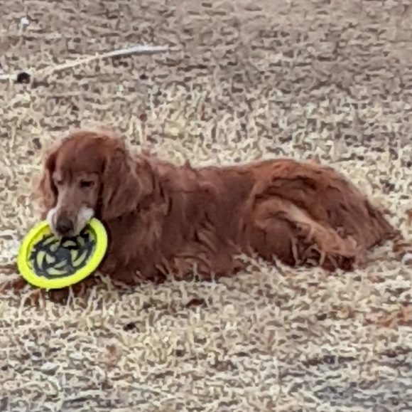 Meet your Posher, Sam. Hot wheels, collectibles, artwork, clothing and more. - Picture 12 of 12